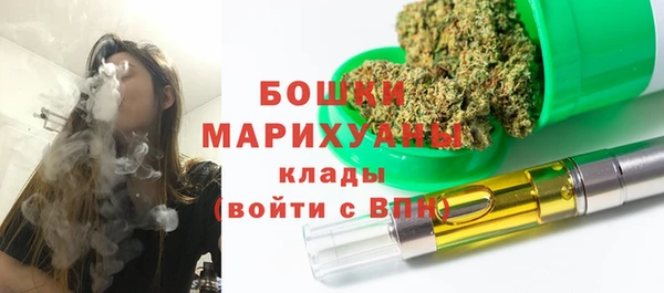 индика Каменск-Шахтинский