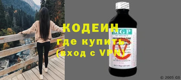 индика Каменск-Шахтинский