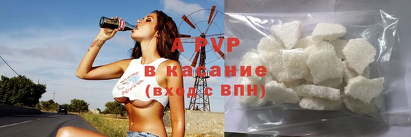 индика Каменск-Шахтинский