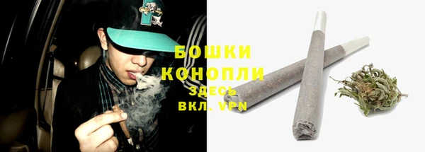 индика Каменск-Шахтинский