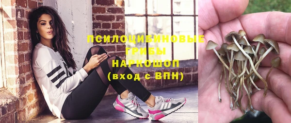 индика Каменск-Шахтинский