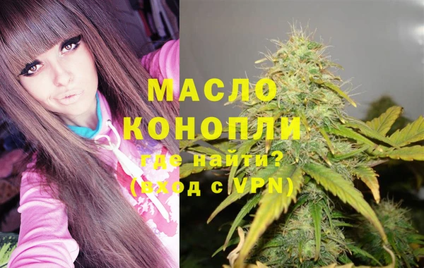 индика Каменск-Шахтинский