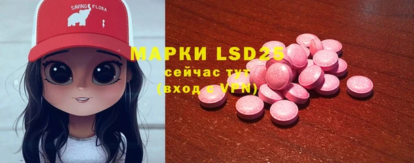 индика Каменск-Шахтинский