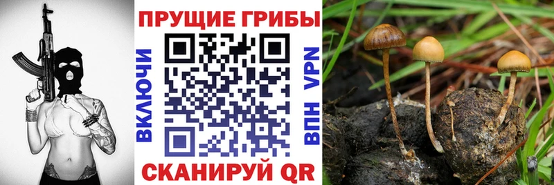 Галлюциногенные грибы мухоморы  даркнет телеграм  Санкт-Петербург 
