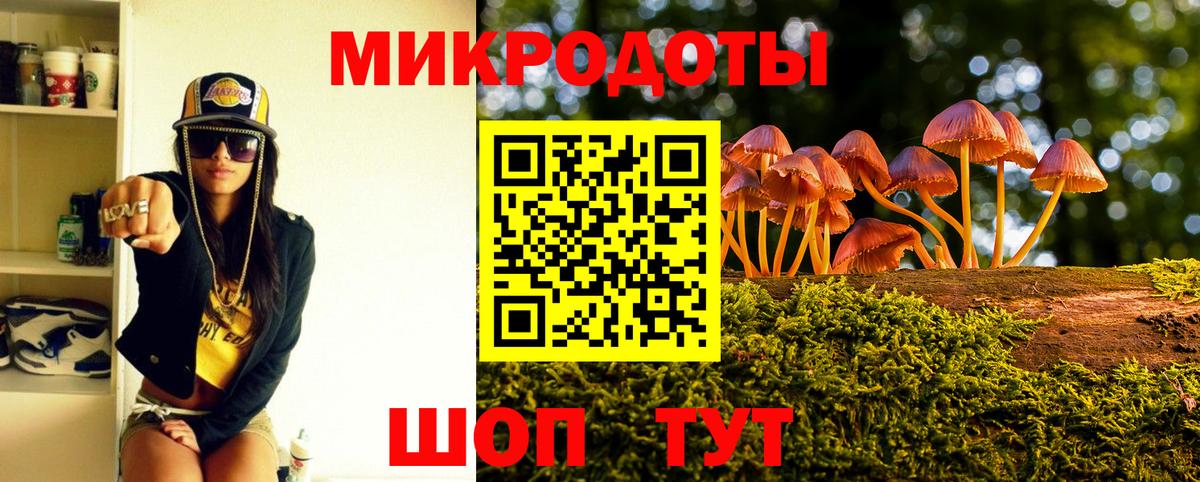 Псилоцибиновые грибы GOLDEN TEACHER  Псилоцибиновые грибы MAGIC MUSHROOMS  Санкт-Петербург  хочу   Вход с VPN 